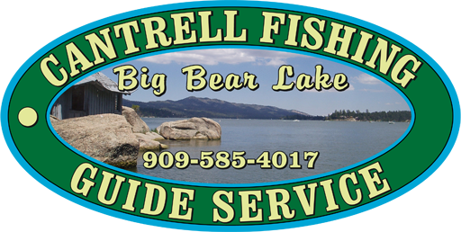 bigbearfishing.net
